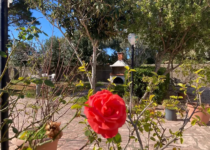 Frida\'S Apartments
